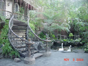 fernwoodstairs.jpg