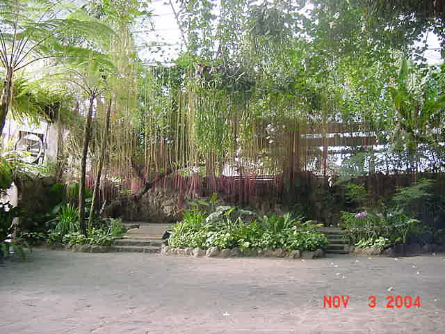 stage.jpg